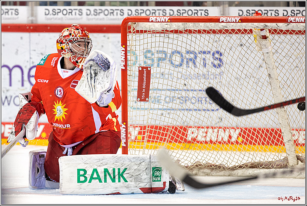 PENNY DEL;  Düsseldorfer EG - Kölner Haie; Düsseldorf, 28.10.2022